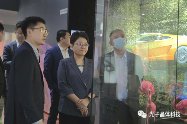 天津市南開區(qū)委書記馬珊珊一行蒞臨光子晶體科技調(diào)研座談