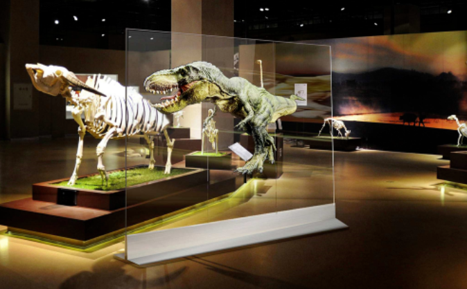 光子晶體科技賦能深博 透明高清顯示讓文物“活”起來