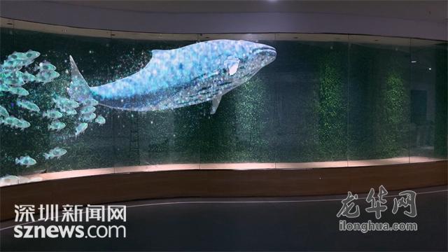 先行示范民企有話說 | 透過玻璃，看見未來，走進深圳光子晶體科技有限公司