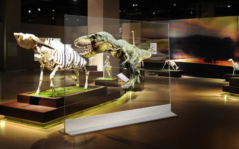 喜訊 I 光子晶體科技斬獲「全球新型顯示創(chuàng)新創(chuàng)業(yè)大賽」一等獎(jiǎng)