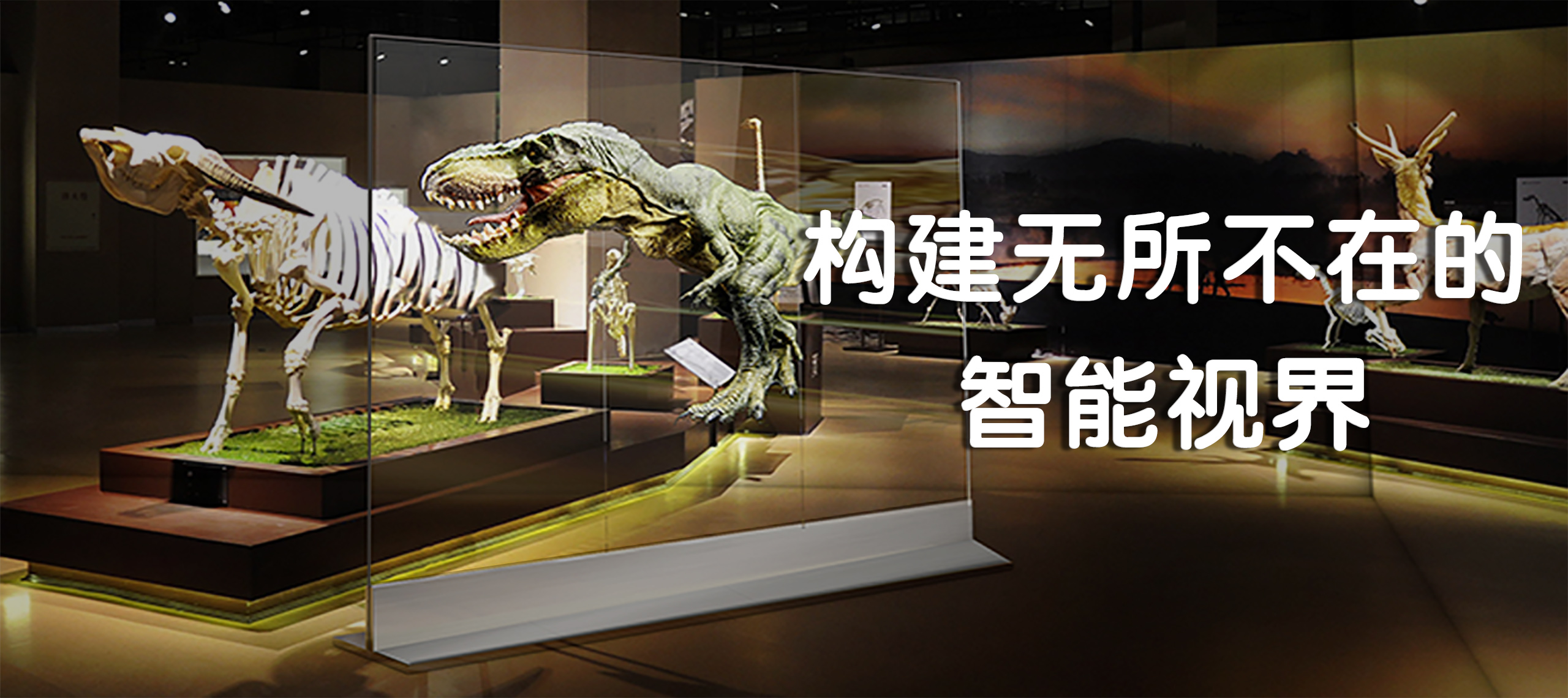 透明顯示屏_博物館