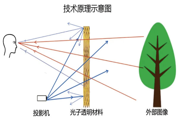 光子芯片透明屏技術(shù)原理圖