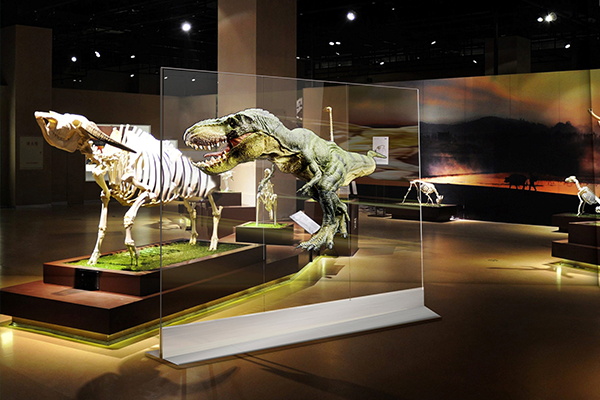 光子裸眼AR展示屏