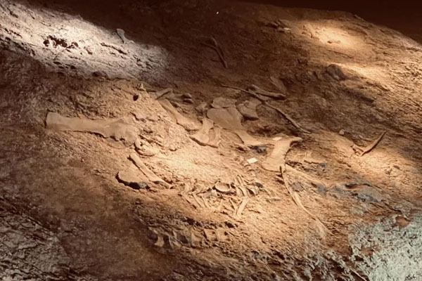 光子科技賦能世界恐龍博物館，AR全息顯示再現(xiàn)侏羅紀(jì)時(shí)代