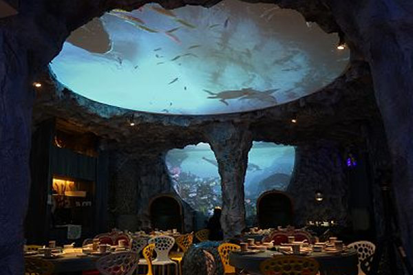 天幕投影在這五大應(yīng)用領(lǐng)域爆火